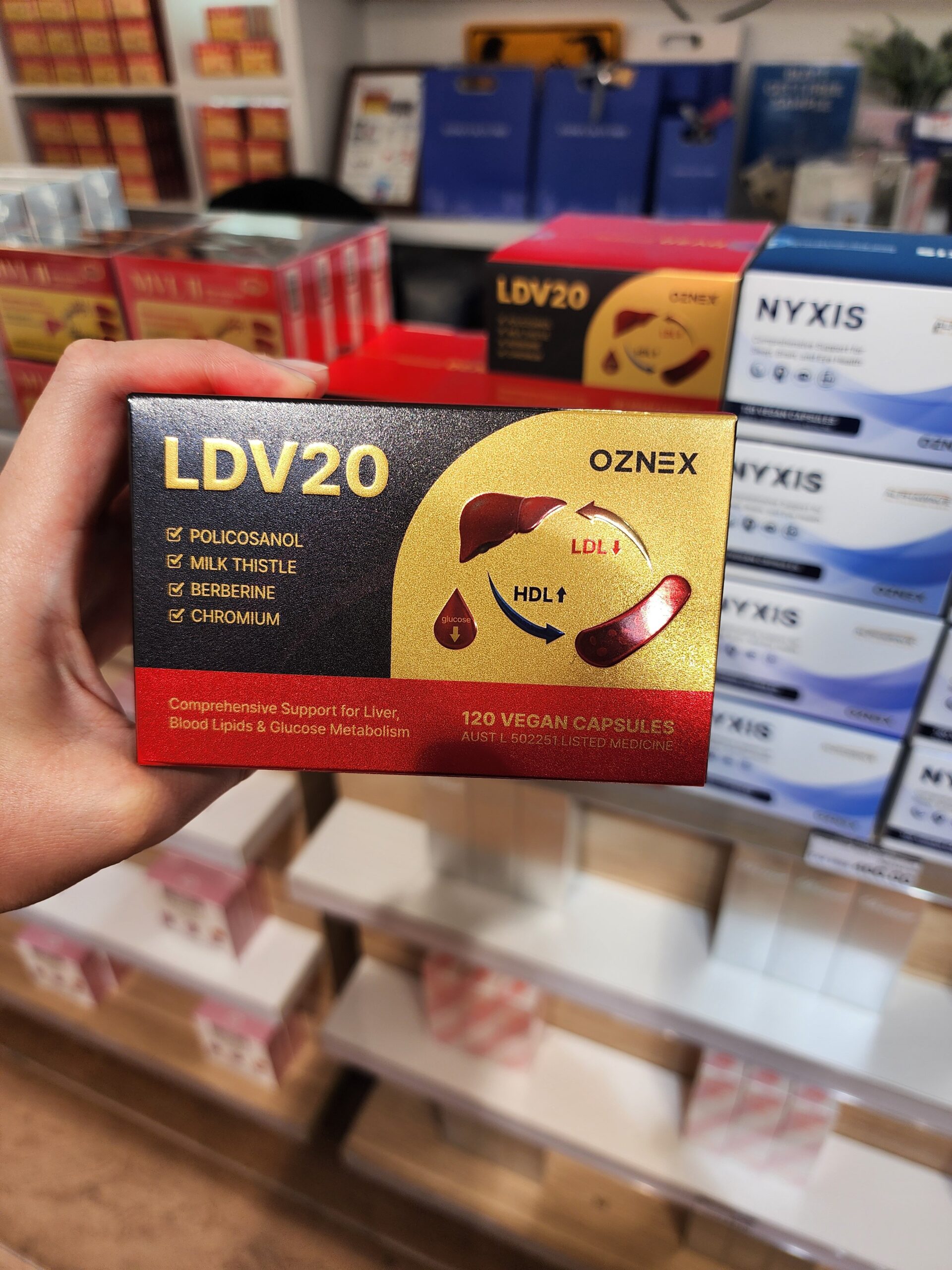 LDV20 부모님 선물